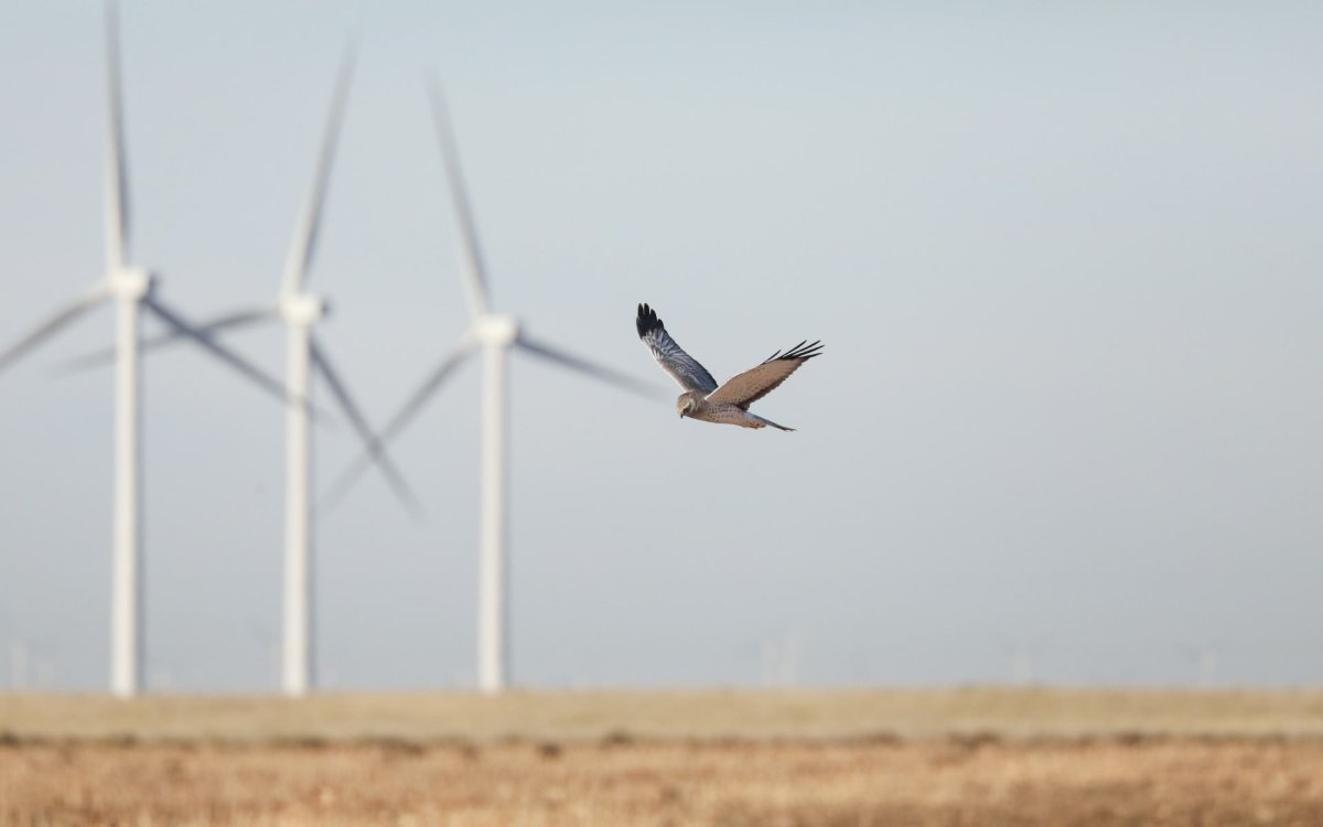 IA et Énergie : Comment le Digital Transforme les Préjugés en Opportunités