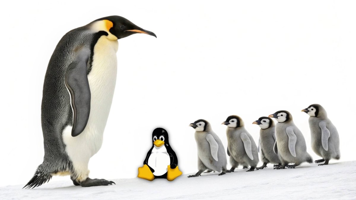 Linux : Plan de Succession et Opportunités Digitales pour les Entreprises
