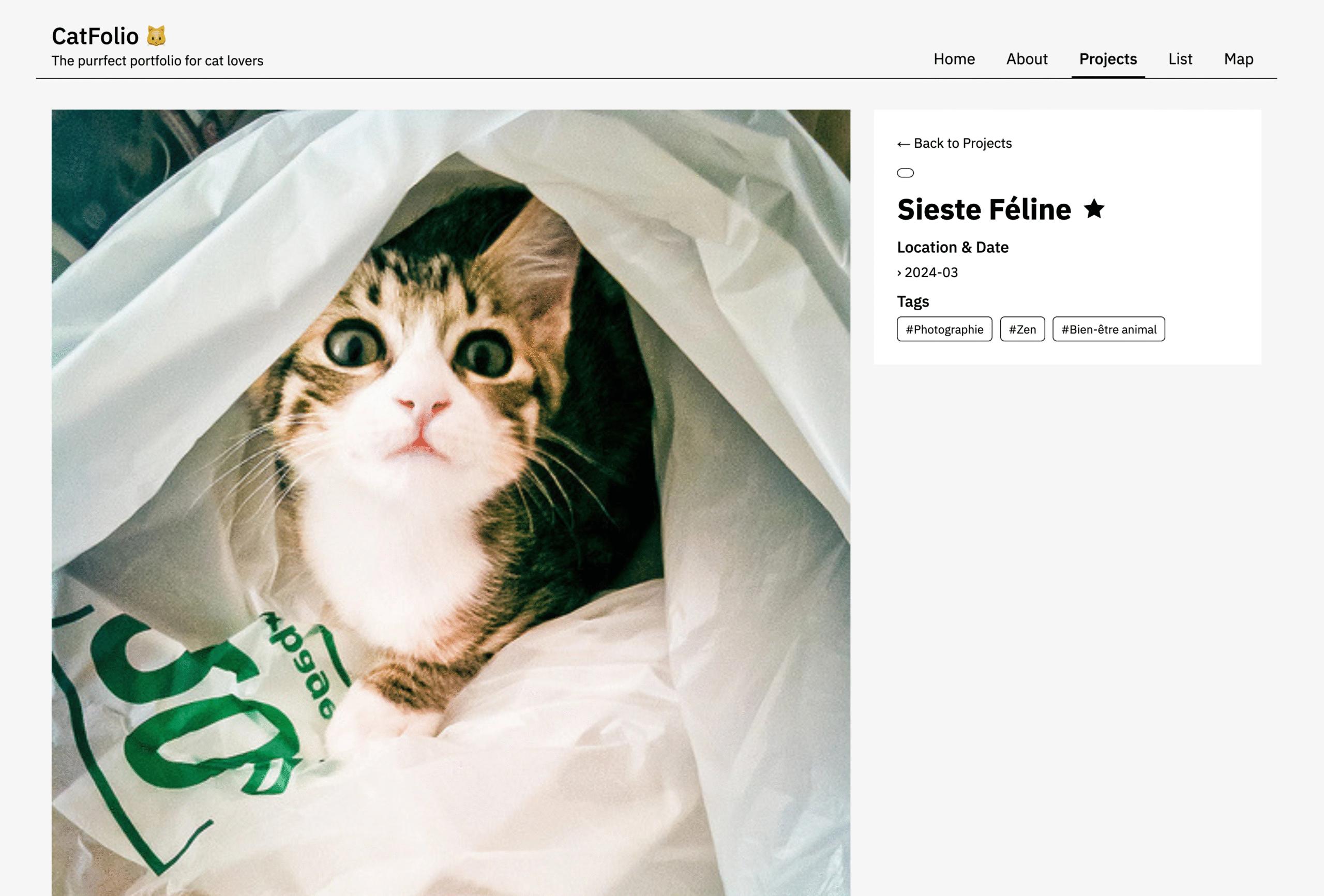 Microfolio - Le portfolio statique qui regarde WordPress de haut