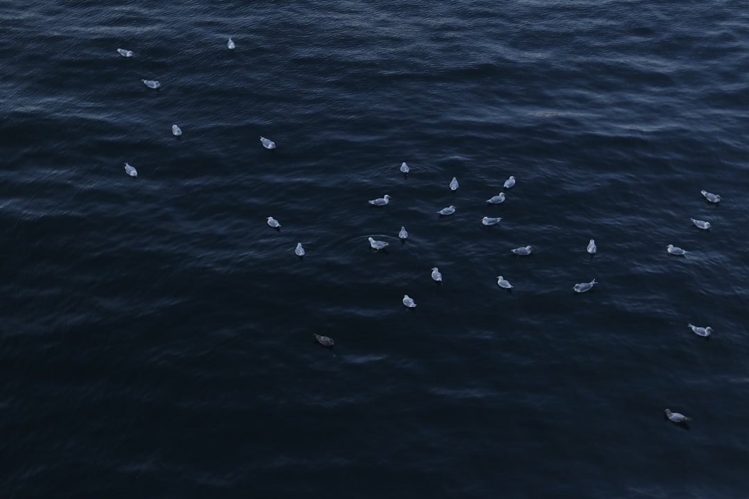 Migration vers SAP S/4 : le « clean core » est un chemin plus qu’une destination