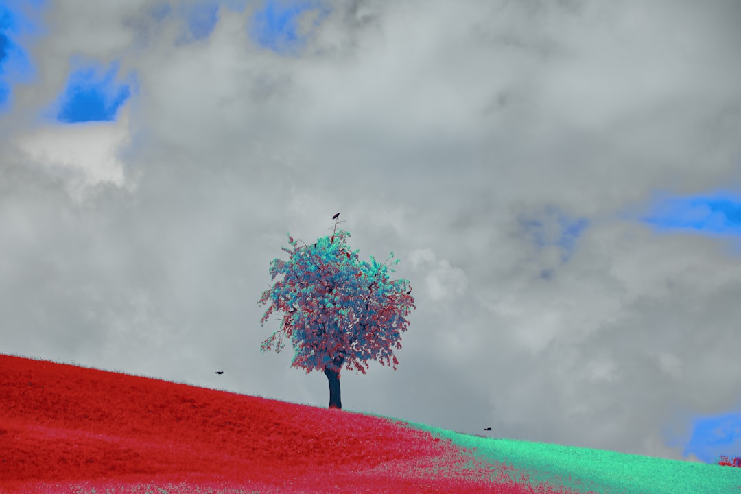 NASA’s new AI model can predict when a solar storm may strike