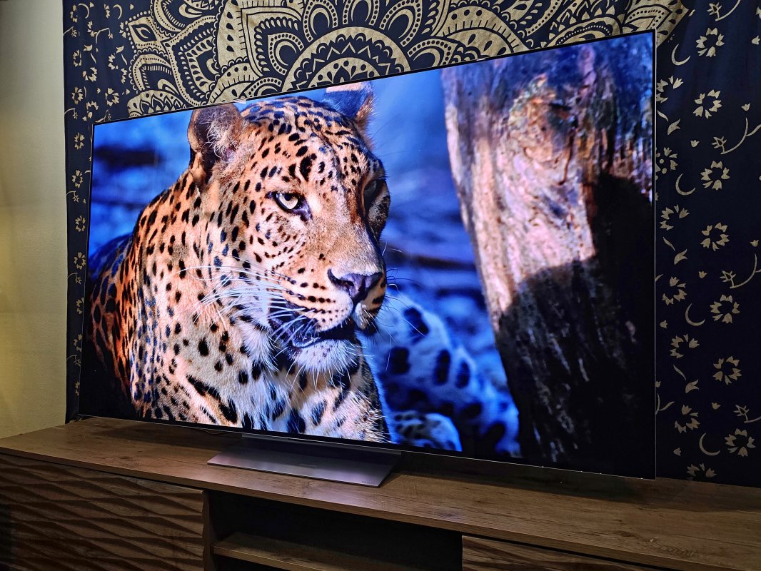 OLED : les brulures d’écrans, ou burn in, sont-elles toujours à craindre en 2026 ?