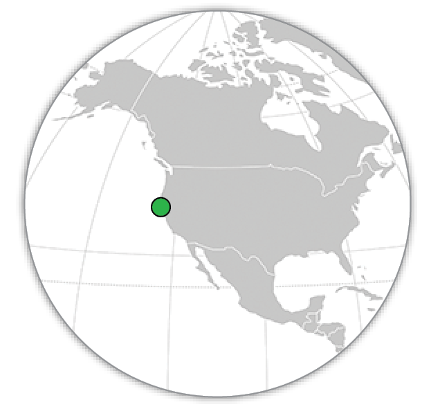 One town’s scheme to get rid of its geese