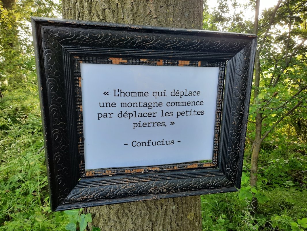 Optimisation matérielle et frugalité : les piliers des nouveaux modèles d'Apple