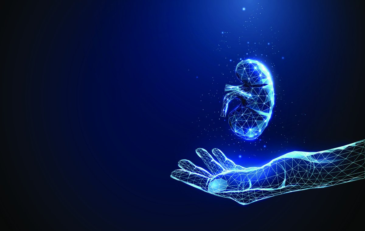 Cryopréservation et greffes : le digital au service de la médecine