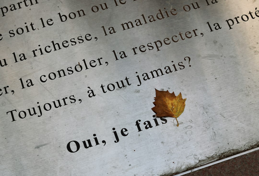 PHP en dit plus sur les failles critiques du 21 octobre découvertes en 2024