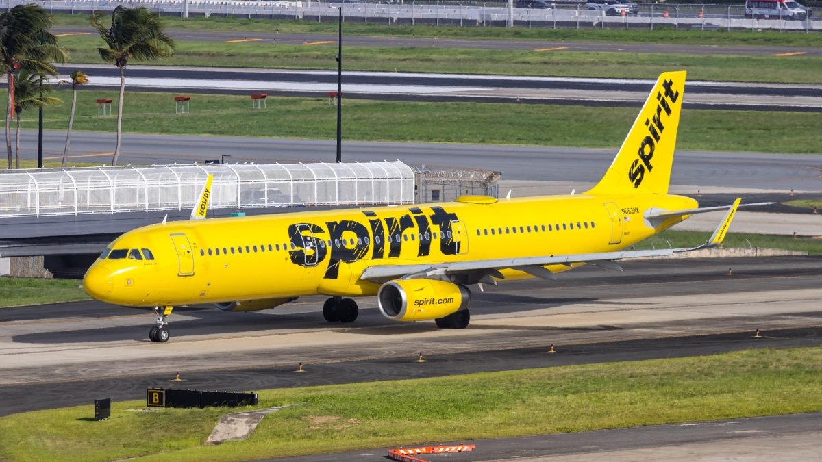 Google rachète les données de Spirit Airlines pour son IA