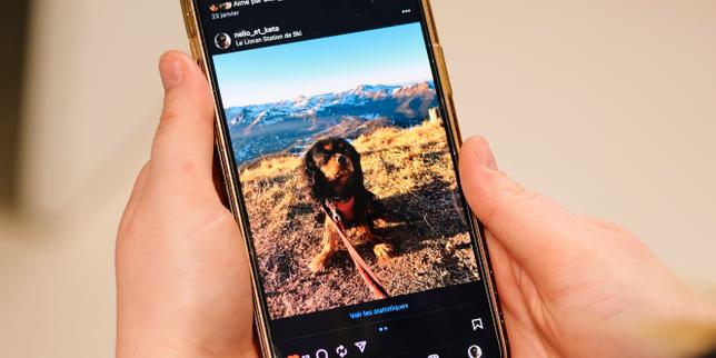 Publicité sur Facebook et Instagram : Meta prend des engagements pour satisfaire Bruxelles