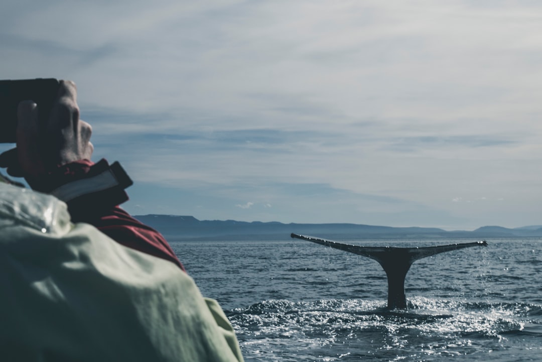 Sam Altman and the whale