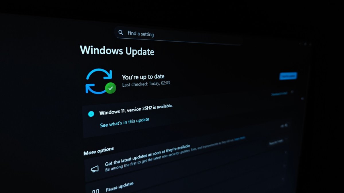 Windows 11 bloque vos sauvegardes : impact SEO et sécurité