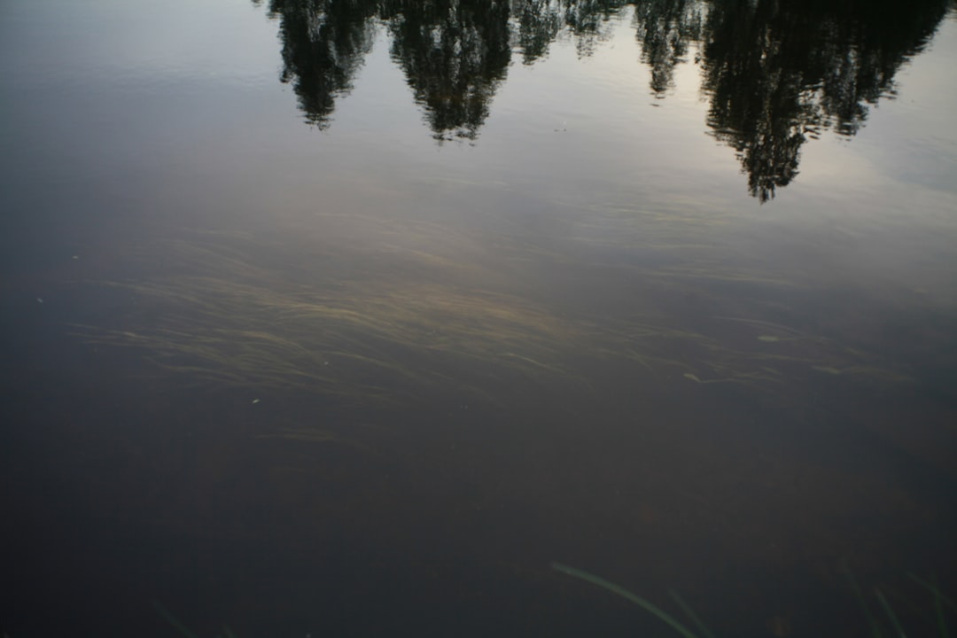 Seeing through murky waters