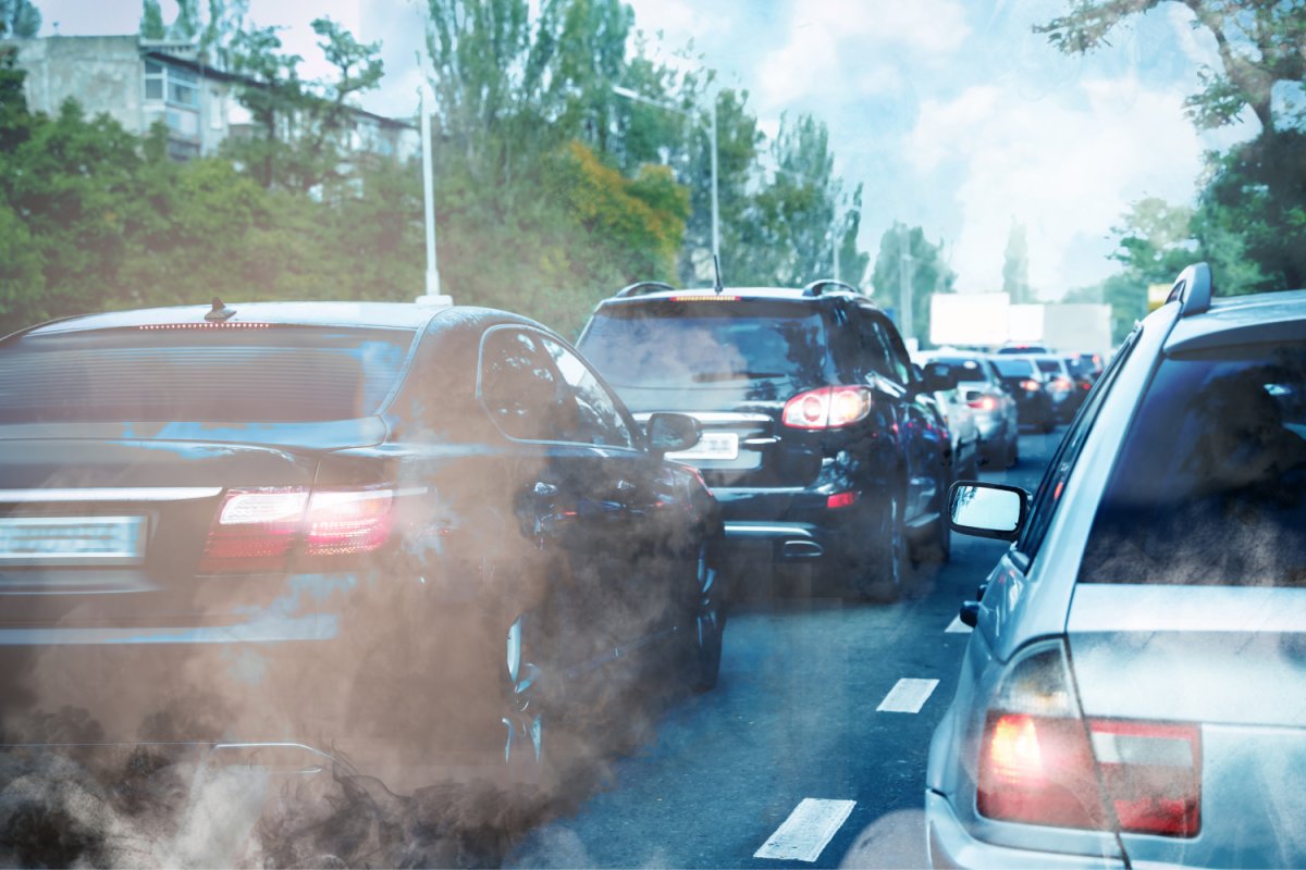 ZFE et Transformation Digitale : Opportunités pour les Entreprises Marocaines