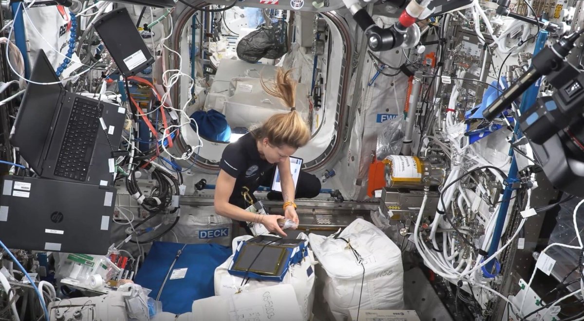 Microbes dans l'espace : leçons digitales pour vos espaces confinés
