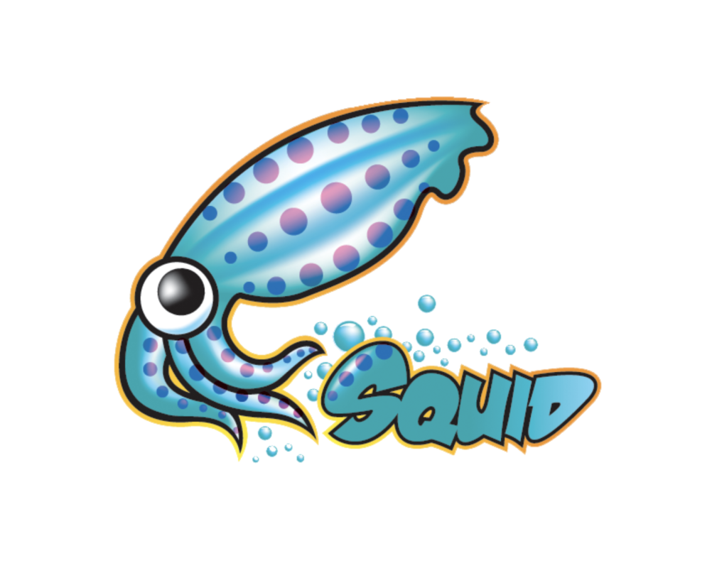 Squidbleed : une fuite mémoire passée inaperçue pendant 30 ans