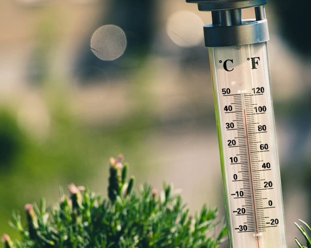 Taking your temperature from the inside
