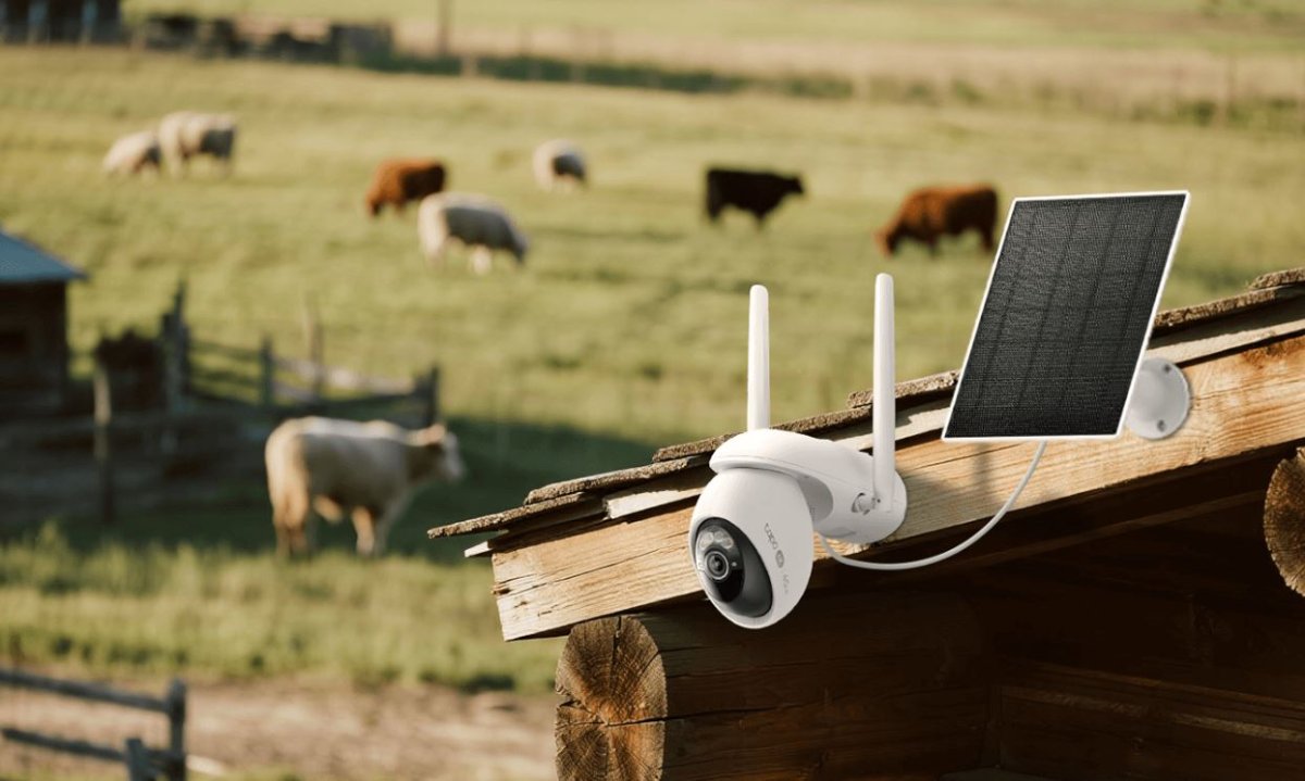 Tapo C665G : une caméra 4G solaire autonome, taillée pour surveiller champs, prés et maisons de campagne