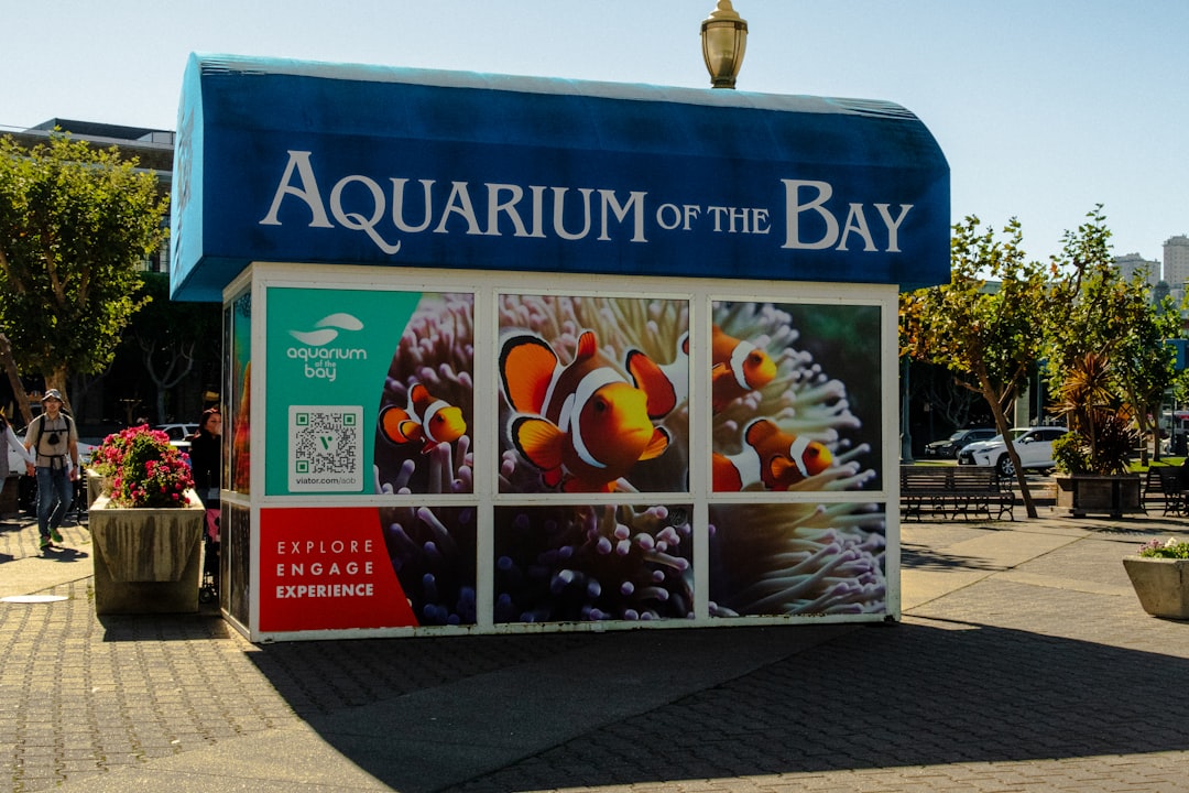 The Bay Area’s animal welfare movement wants to recruit AI