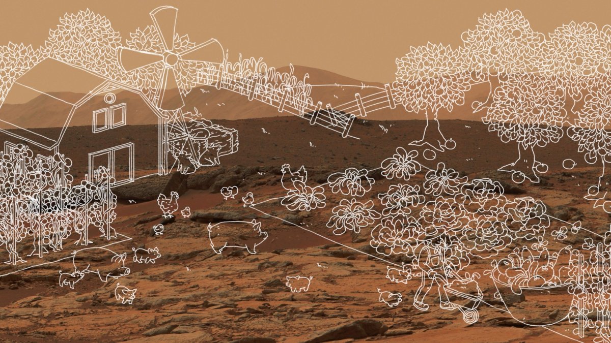 The Download: a bid to scrap the virtual wall and AI hits Climate Week