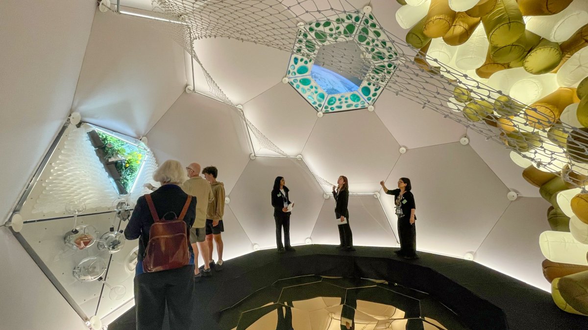 The Download: the internet’s best weather app, and why people freeze their brains