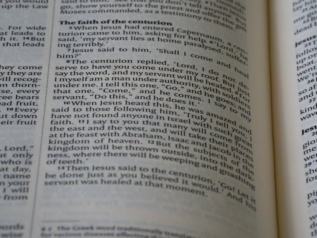The new word in home construction could be “plastics”