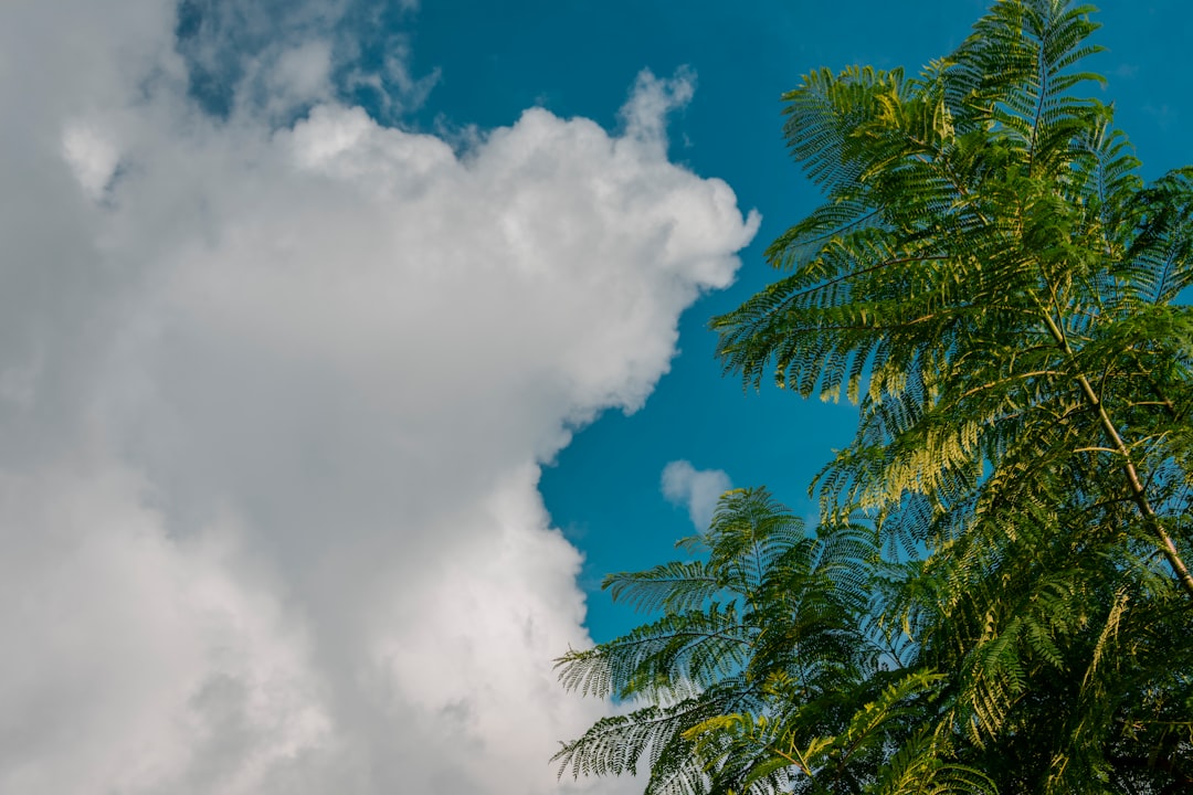 Ton site plante ? Affiche une fausse panne Cloudflare...