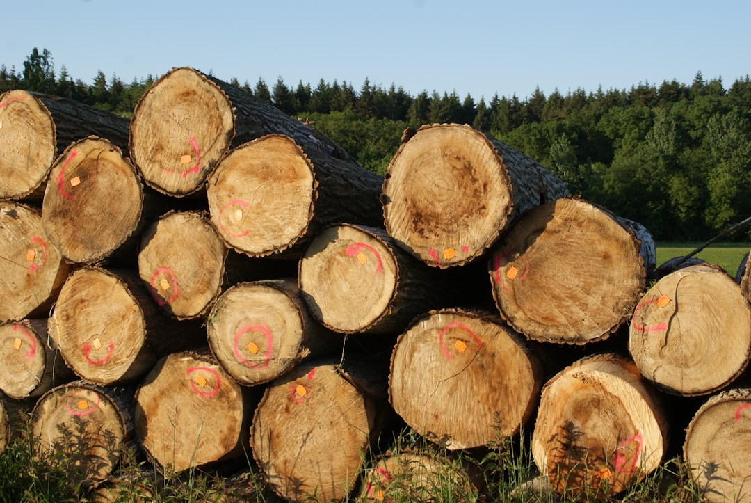 Traçage distribué vs logging : quelles différences ?