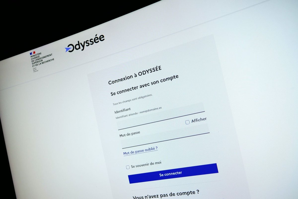Bug recrutement universitaire : leçons pour votre site web