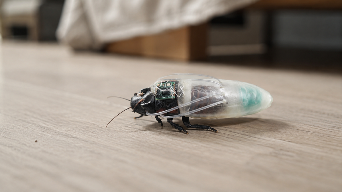 Un cafard cyborg en combinaison de plongée