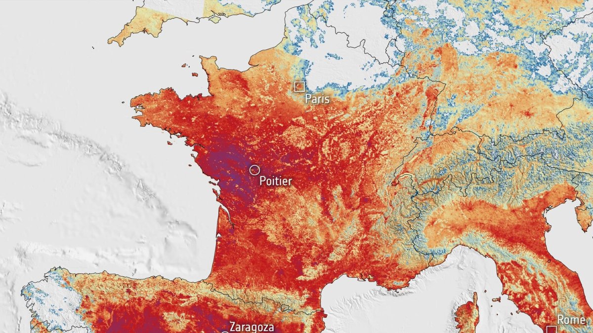Canicule et SEO : comment l’ESA éclaire votre stratégie digitale