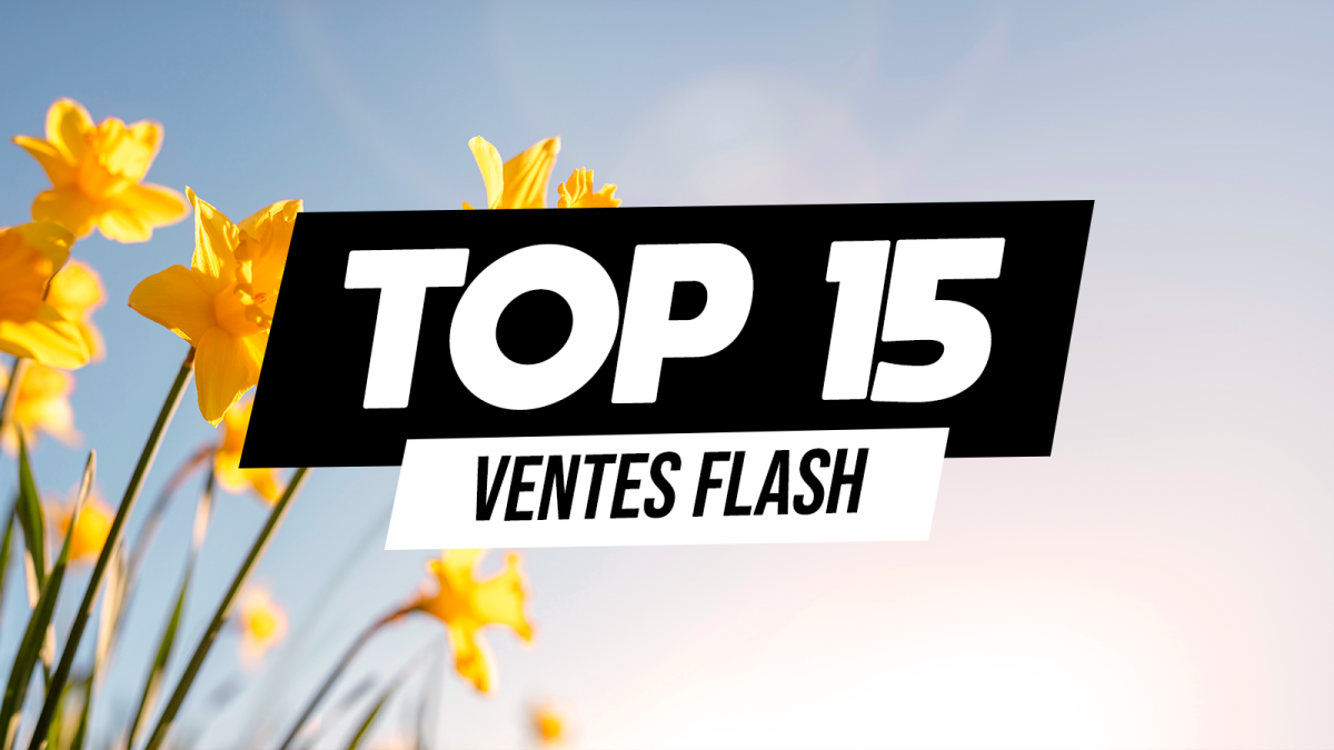 Stratégies Digitales : Capitaliser sur les Tendances comme les Ventes Flash