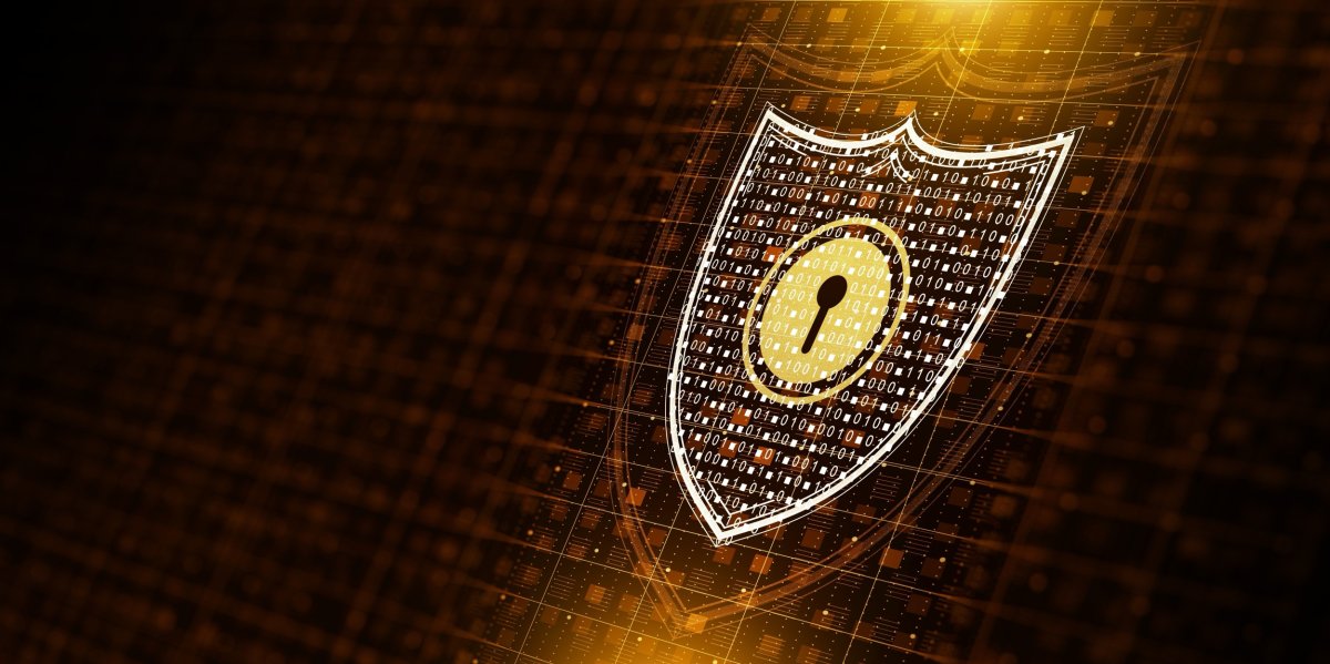 VPN : Choisir le bon modèle pour sécuriser votre stratégie digitale