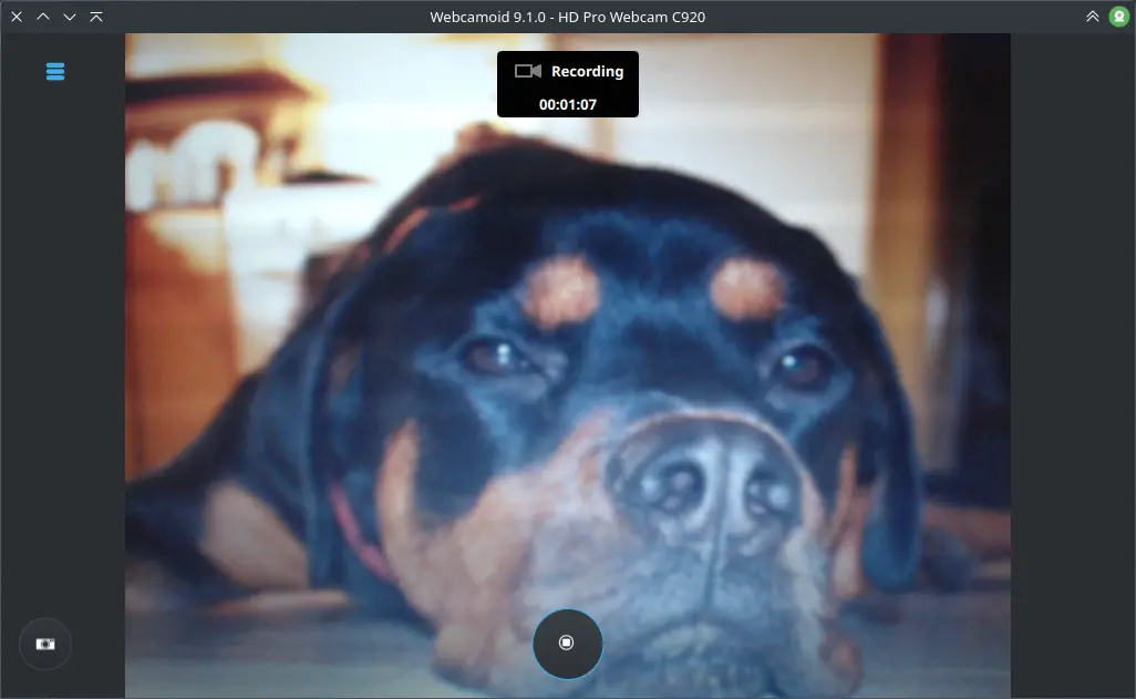 Webcam virtuelle Linux : guide pro sans ligne de commande