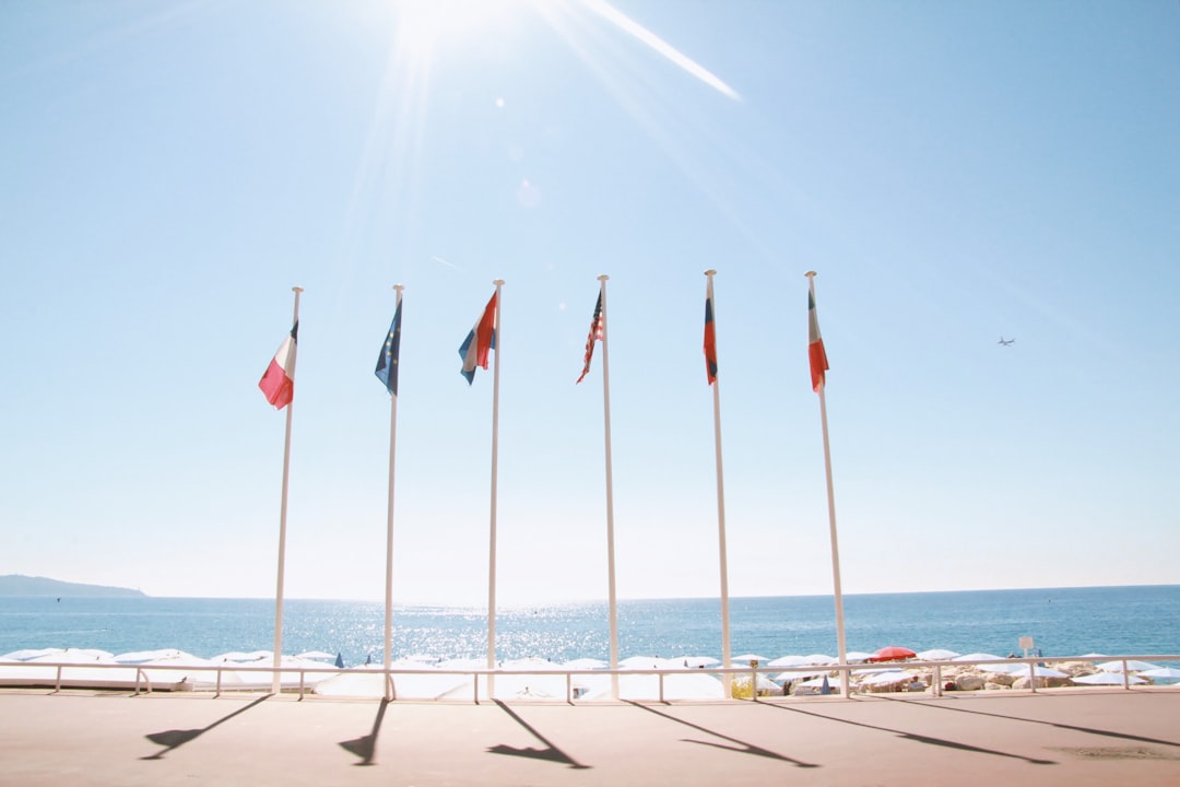 What Europe’s heat wave means for the power grid