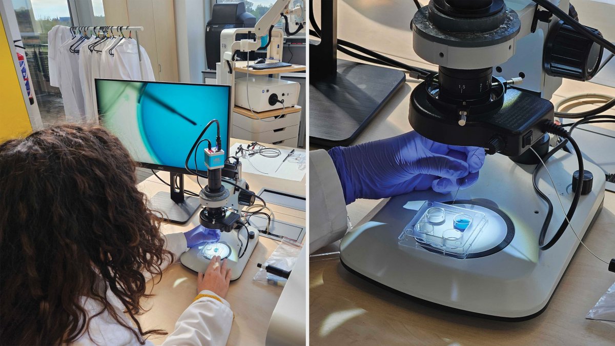 What’s next for IVF
