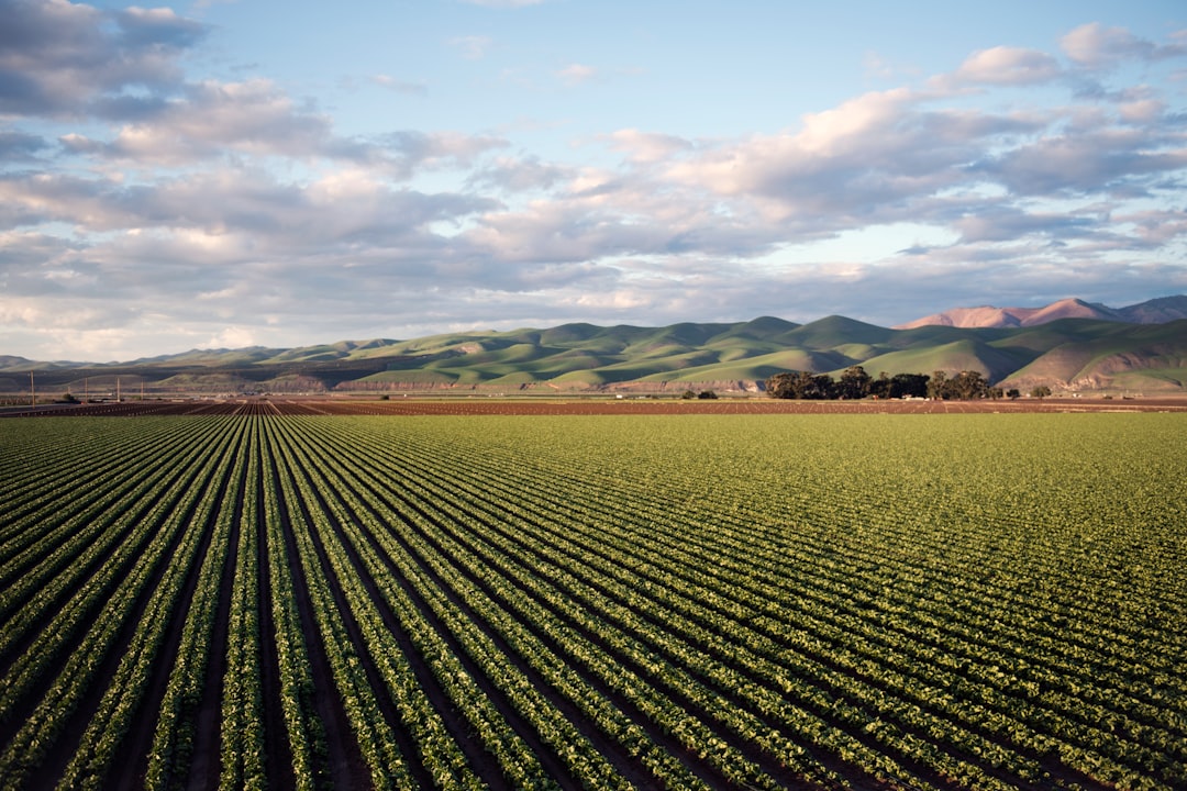 Why California’s carbon manure math doesn’t add up