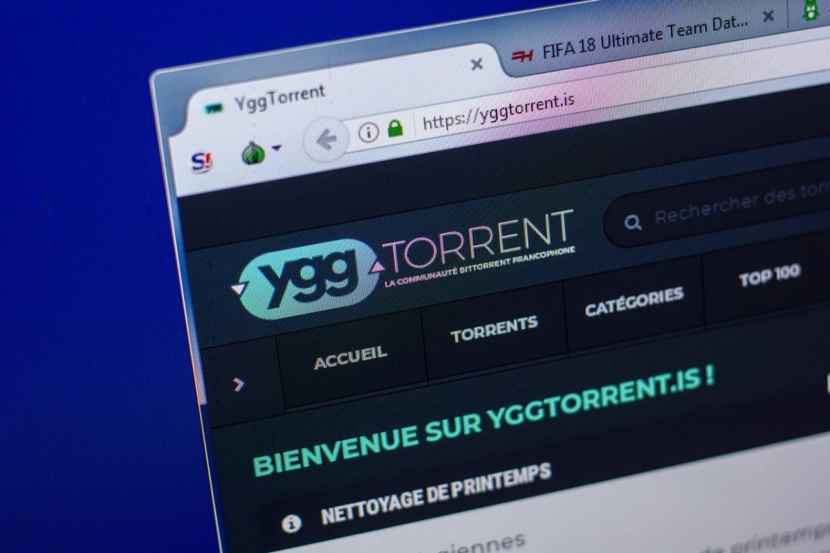 YggTorrent démantelé : leçons SEO pour votre business