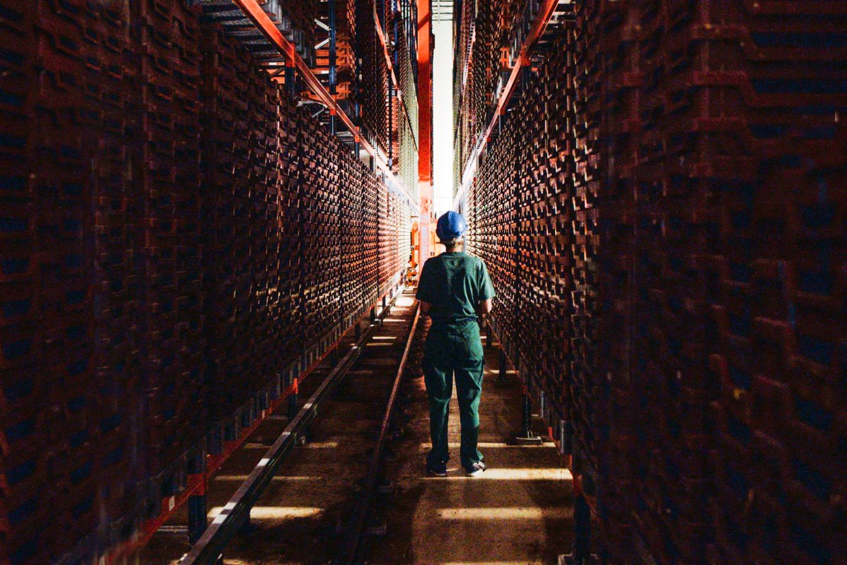 Ynsect : fin de l'aventure pour le leader français des protéines d'insectes